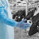 Polietileninės Ilgos vienkartinės pirštinės Polyco GL2950 mėlynos, maišelyje, L (100vnt) - Image 3